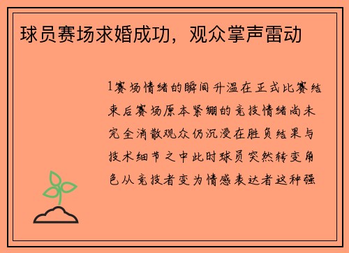 球员赛场求婚成功，观众掌声雷动